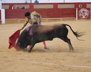 RAFAELILLO Y OLIVA SOTO A HOMBROS EN CABRA