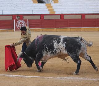 RAFAELILLO Y OLIVA SOTO A HOMBROS EN CABRA