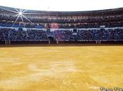 pliego para cumplirlo