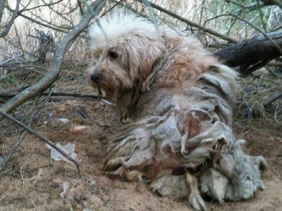 El horror de vivir en la calle, Mendi vive en ella desde el 2005. (Huelva)