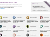 Molinolabs: practica lenguaje