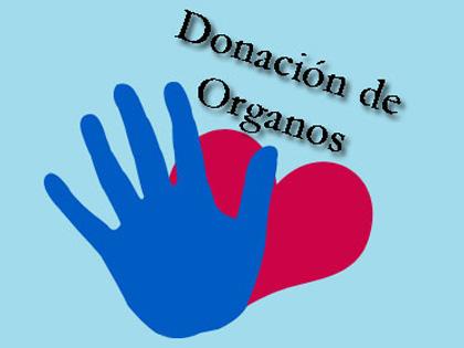 Contenido de la donación de órganos presente en las Canaima.