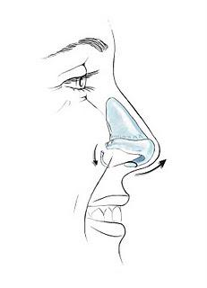 Los cirujanos plásticos defienden las técnicas poco invasivas  para operar la nariz