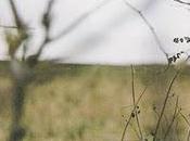 Hood Cycle Days Seasons (1999)