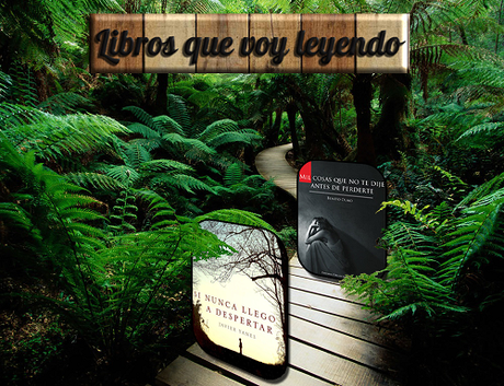 Concurso Libros que voy Leyendo