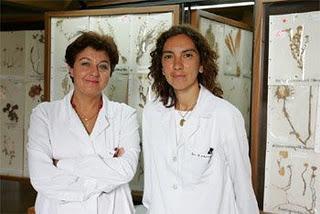 Fitoterapia y Alzheimer