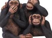 comunicacion verbal