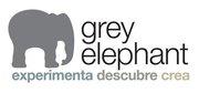 Storytelling en Grey Elephant