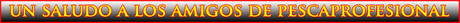PESCAPROFESIONAL PERCA – LUCIOPERCA