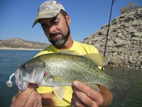 BLACK-BASS BLACK-BASS