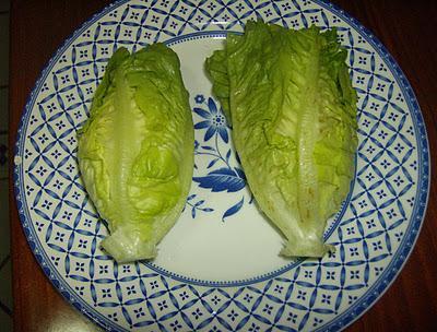 LECHUGAS COGOLLOS DE TUDELA