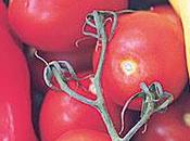 Verduras contra efecto genes