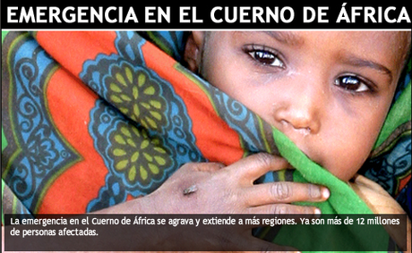 70 millones más de hambrientos 70 millones más de hambrientos