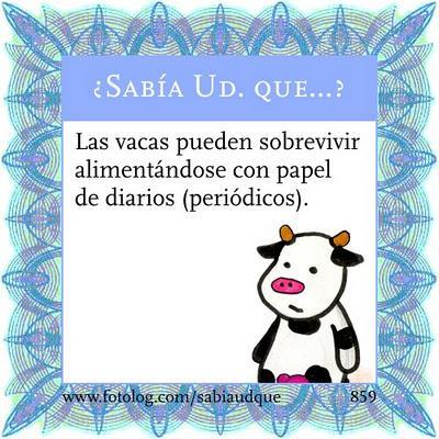 Vacas