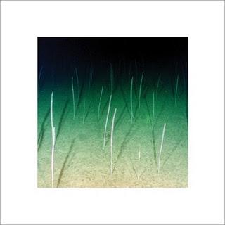 Mike Weis - Loop Current / Raft (Bargue Recordings,2011)