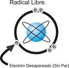 radicallibre ¿De qué se tratan los radicales libres?