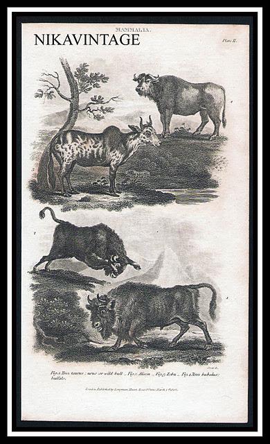 Grabados de Animales 1808