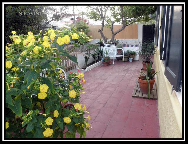 Entre palmeras y lilos