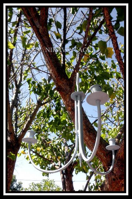 Entre palmeras y lilos