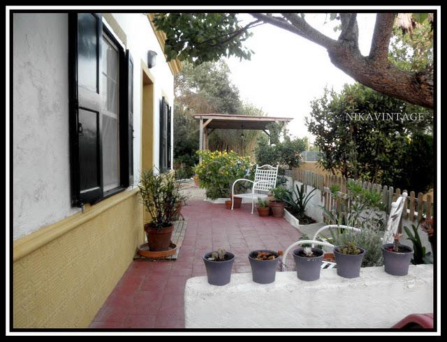 Entre palmeras y lilos