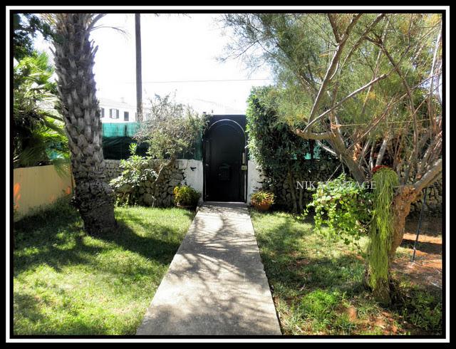 Entre palmeras y lilos