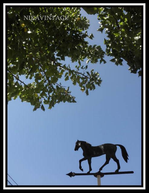 Entre palmeras y lilos