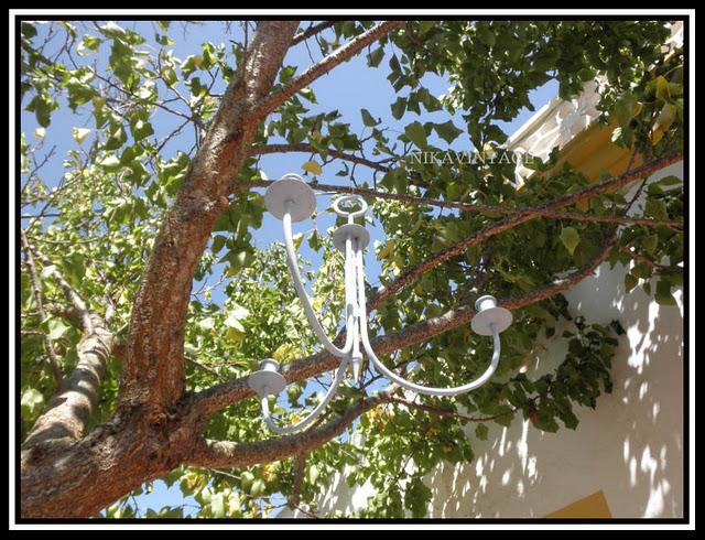 Entre palmeras y lilos