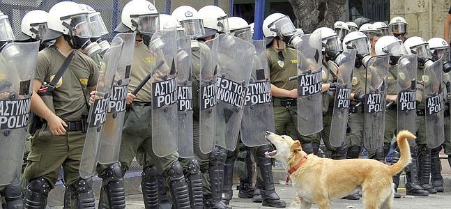 'Loukanikos', el perro antisistema