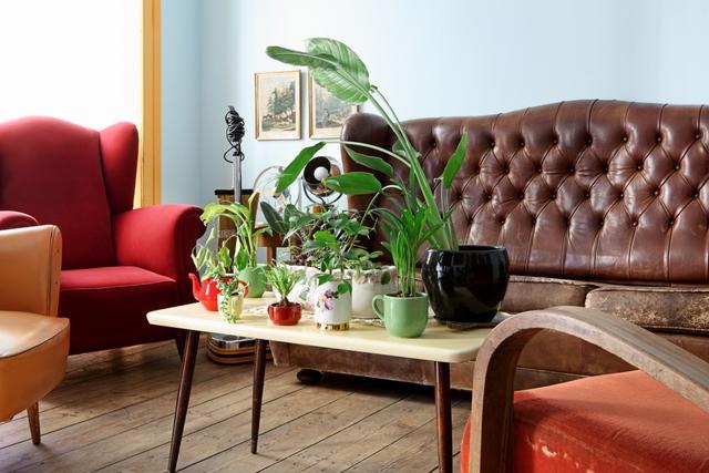 Vintage y mucho arte en Lisboa