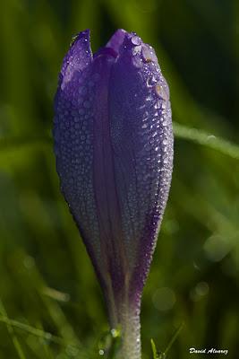 Una fría y húmeda mañana de otoño