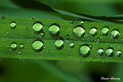 Una fría y húmeda mañana de otoño