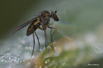 Una fría y húmeda mañana de otoño