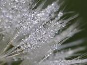 fría húmeda mañana otoño