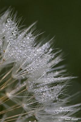 Una fría y húmeda mañana de otoño