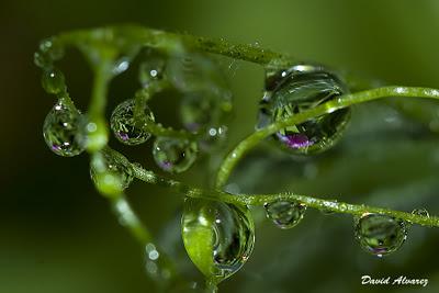 Una fría y húmeda mañana de otoño