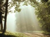 Buenos dias todos,,Loly