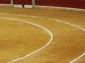 Torería cuatro patas