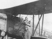 Arado