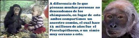 Argumento: 