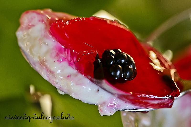 ARROZ CON LECHE CON GELATINA DE FRAMBUESA
