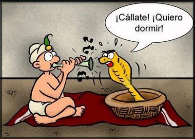 Un cajero automático expende billetes... y una víbora! Un cajero automático expende billetes... y una víbora!