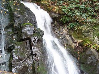 Great Smoky Mountains: Brooks and Falls