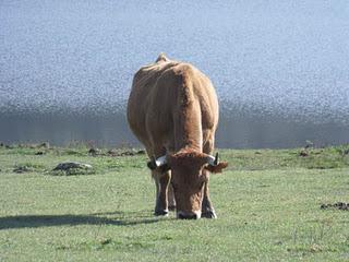 Asturias - Octubre 2011