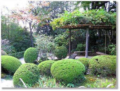 Homenaje al Jardín Japonés