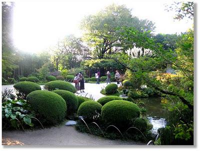Homenaje al Jardín Japonés