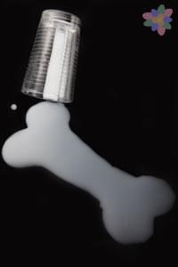 Huesos fuertes desde la infancia