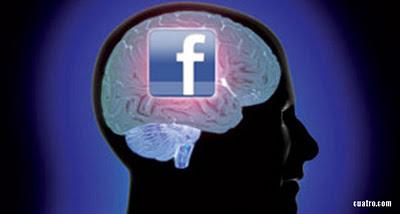 El tamaño del cerebro depende de los amigos que tenga en Facebook
