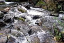 La Vereda de la Estrella