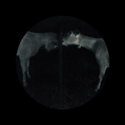 Una sesión de fotos inspirada en el cine de Terror