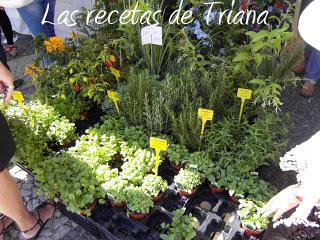 Feira da Praia 2011 en Vila Real de Santo Antonio (Portugal)